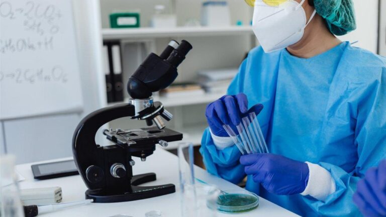 Test Listeria : méthodes de détection, délais et conformité en agroalimentaire