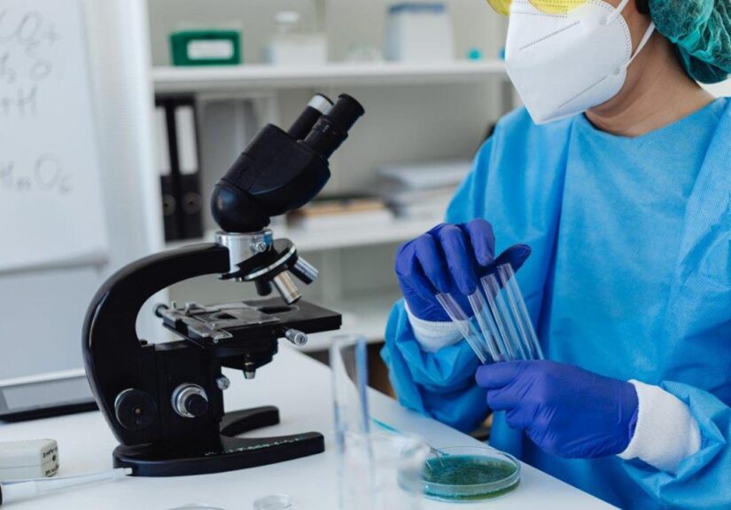 Test Listeria : méthodes de détection, délais et conformité en agroalimentaire